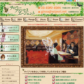 サイバープリンセスエージェント